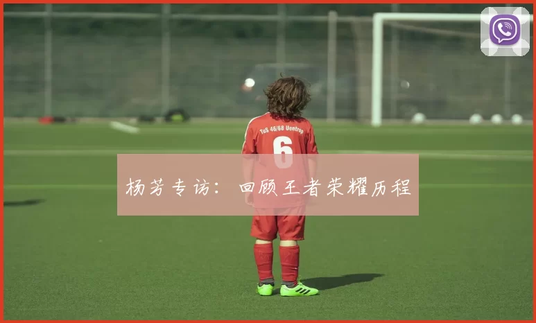 杨芳专访：回顾王者荣耀历程