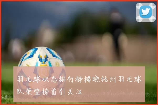 羽毛球状态排行榜揭晓杭州羽毛球队荣登榜首引关注