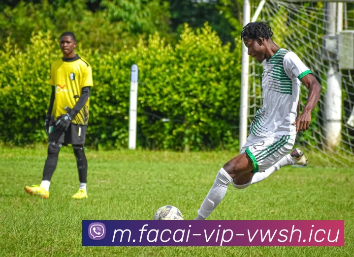 米兰体育平台生态图