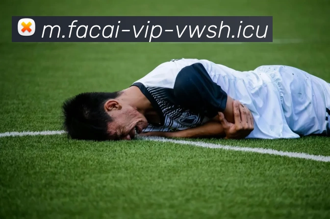 米兰体育全站App